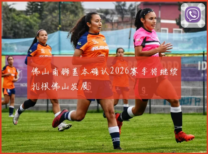 佛山南狮基本确认2026赛季将继续扎根佛山发展