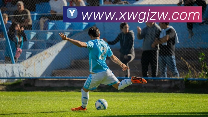 App Interface Preview